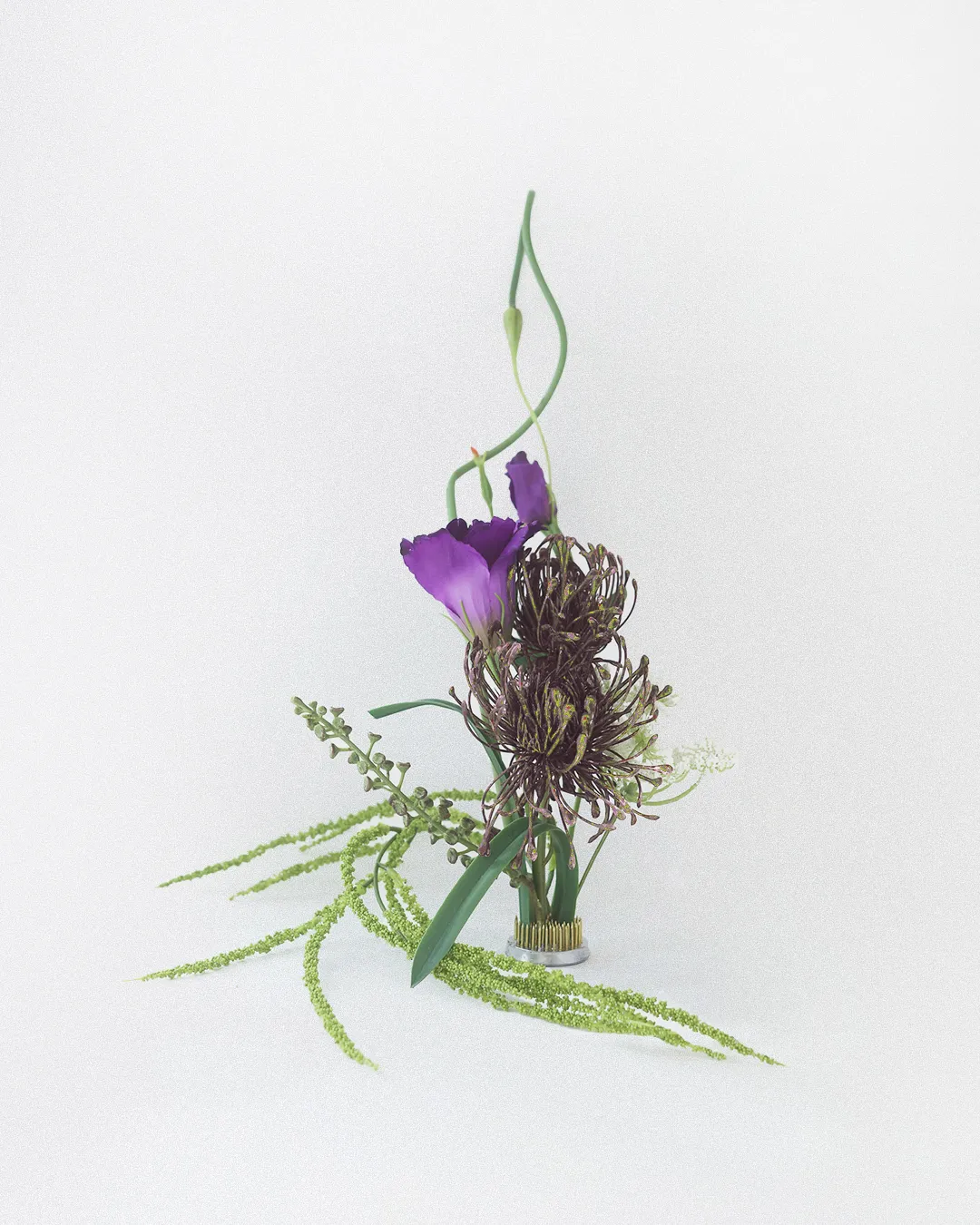 옴브르 모브 블룸 제품사진3