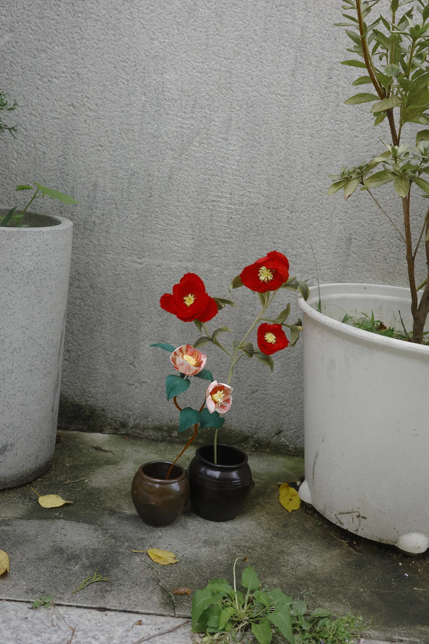 페이퍼 블룸 - 붉은 동백 제품사진2