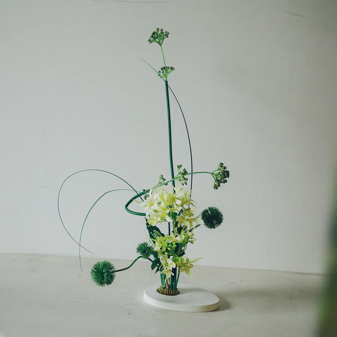 페블 올리브
